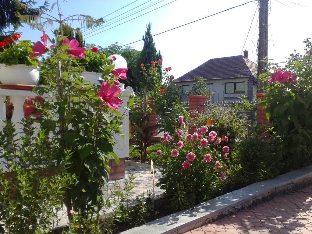 לינה וארוחת בוקר Hévíz Kristaly Apartman מראה חיצוני תמונה